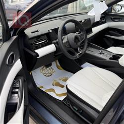 بی وای دی سيل 06 DM-i